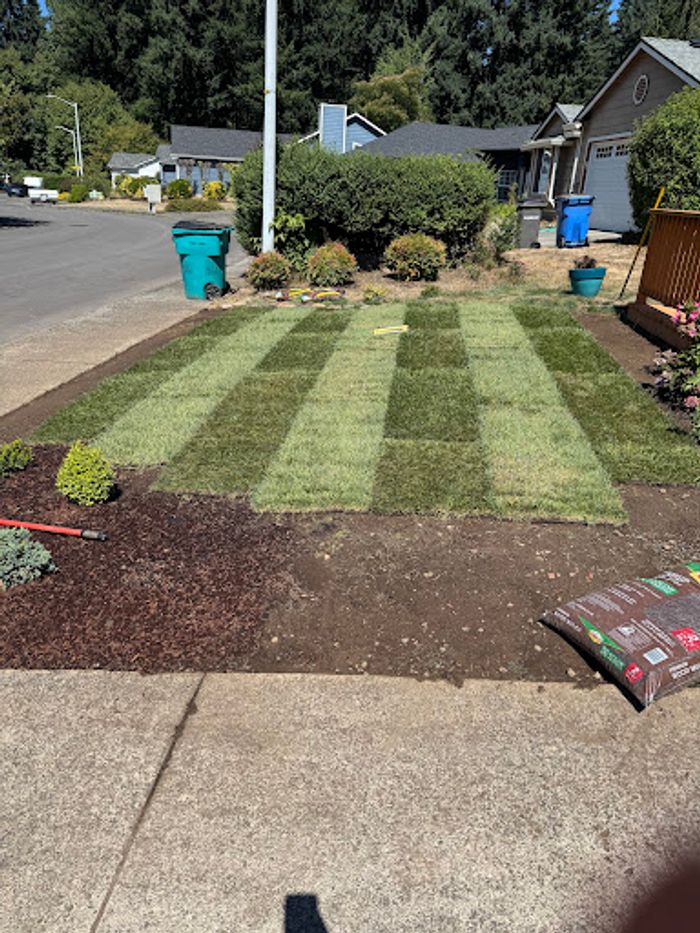 Fresh sod installation